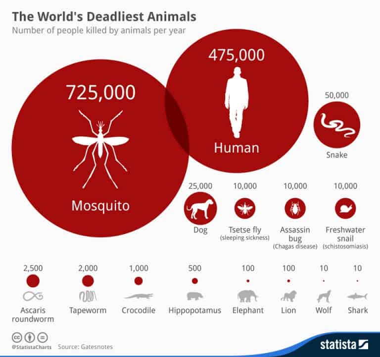 genetically-modified-mosquitoes-to-solve-an-ages-old-problem