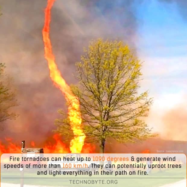 wtf fact Fire tornadoes are fiery daredevils