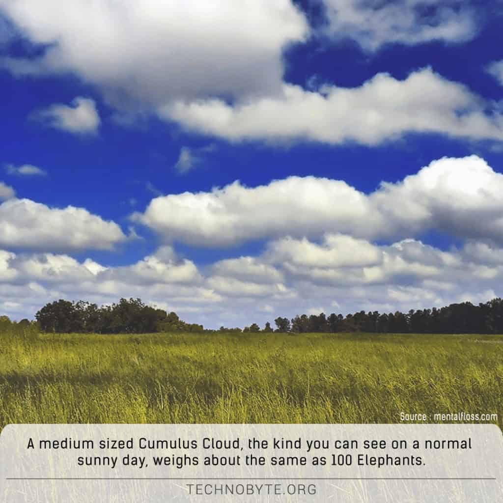 Normal clouds weigh as much as one hundred elephants