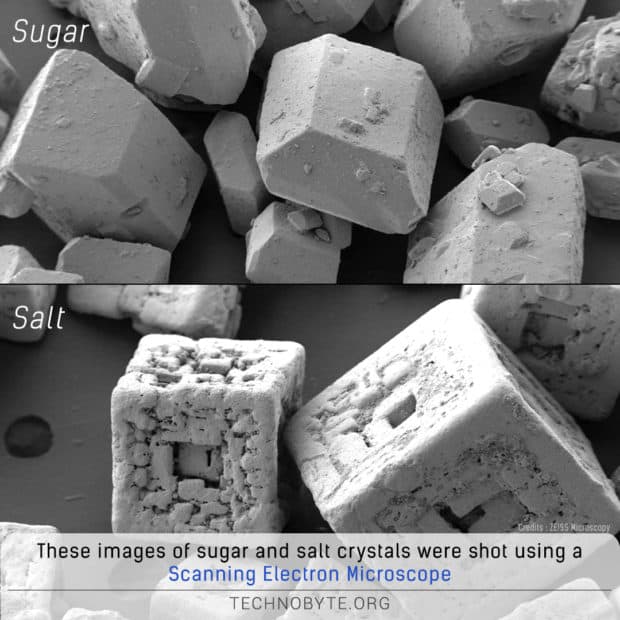 amazing fact that a Scanning electron microscope can shoot such amazing crystals of sugar and salt