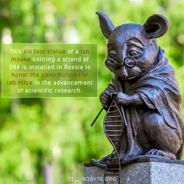 unknown fact Lab mouse statue
