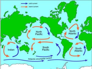 What is a Gyre and how does it create a trash vortex in the ocean?