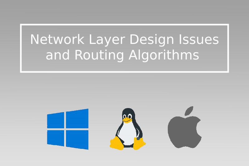 Network Layer Design Issues Routing Algorithm